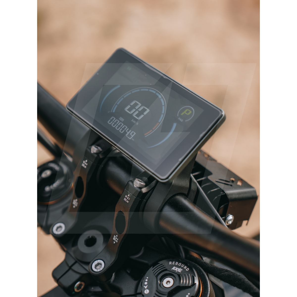 Arctic Leopard XF (Preorder)