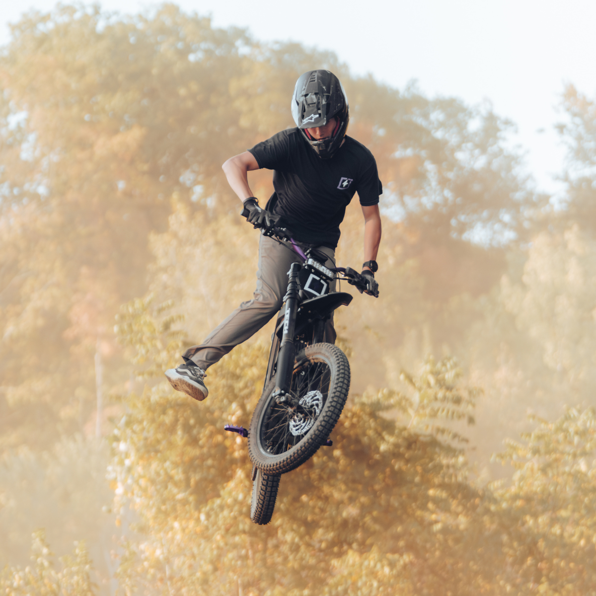 E Ride Pro 2.0