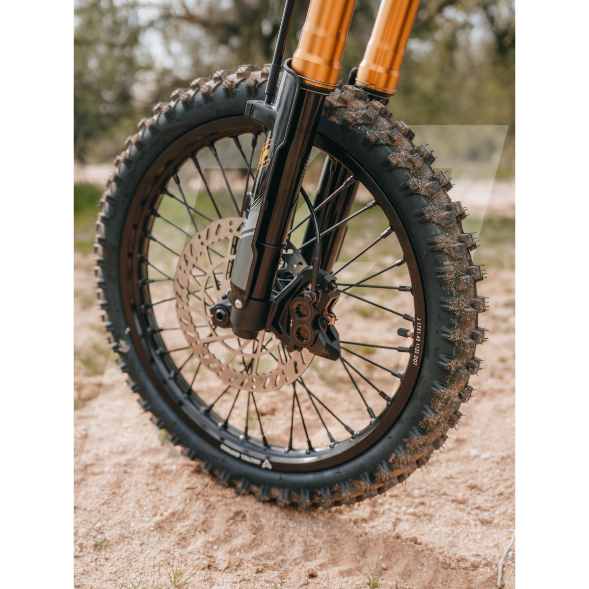 Arctic Leopard XF (Preorder)