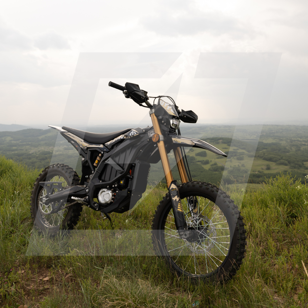 2025 Surron Ultra Bee HP