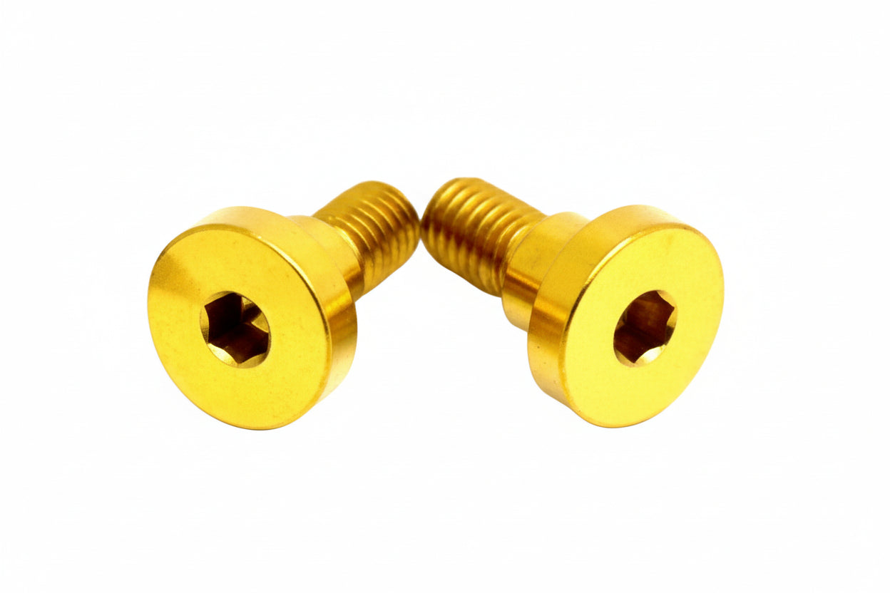 Titanium Battery Lid Bolts - E-Ride Pro - (Two Pcs)