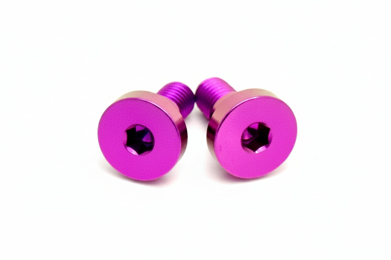 Titanium Battery Lid Bolts - E-Ride Pro - (Two Pcs)