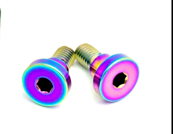Titanium Battery Lid Bolts - E-Ride Pro - (Two Pcs)