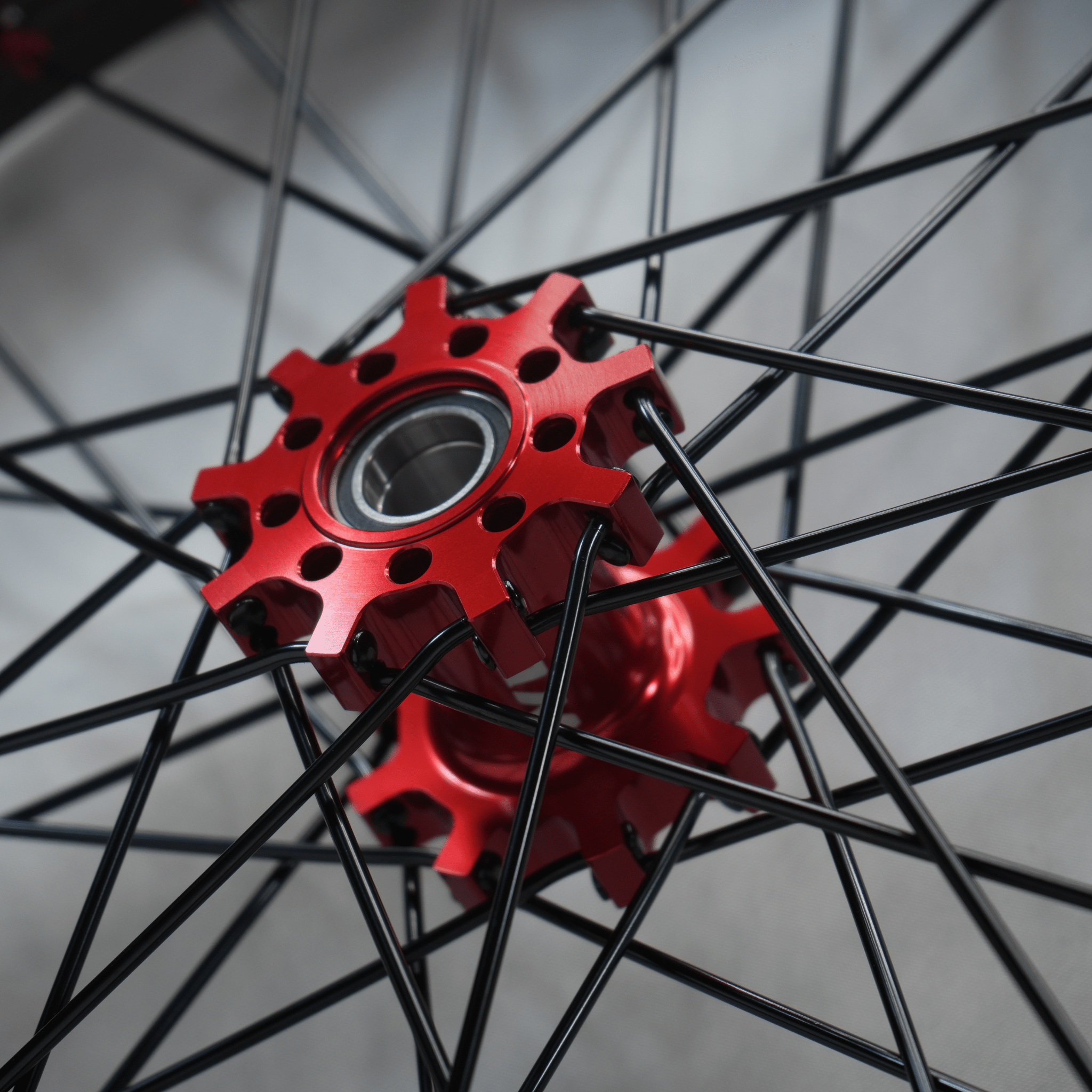 WGT Splattered V2 19x16 Wheel Set