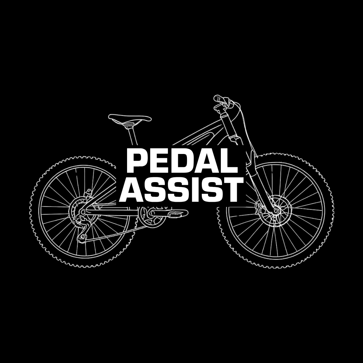 Pedal Assist