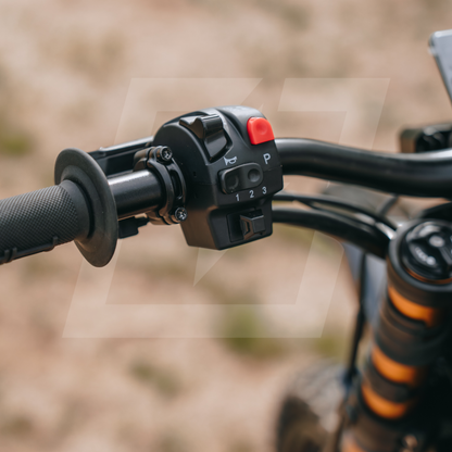 Arctic Leopard XF (Preorder)