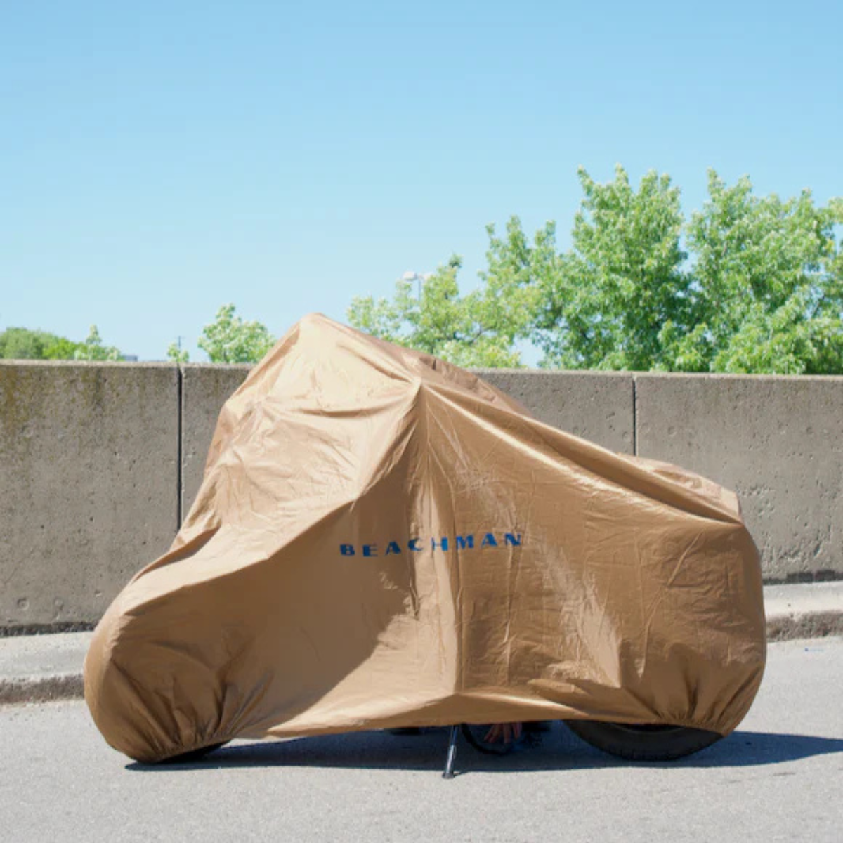 Beachman Dust Cover
