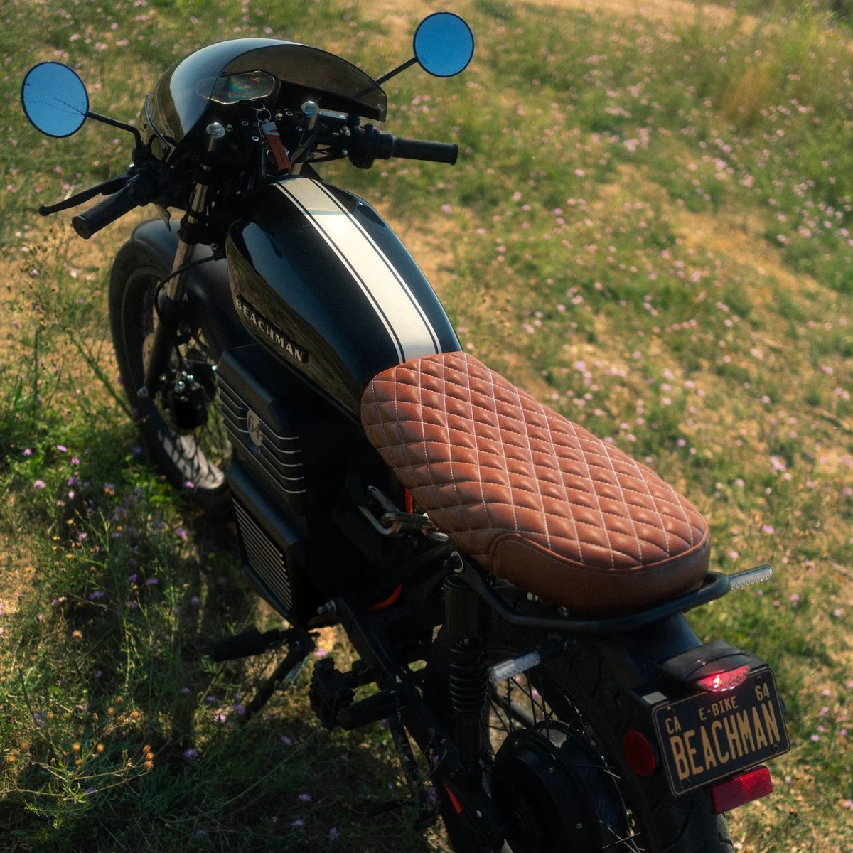 Racing Stripes