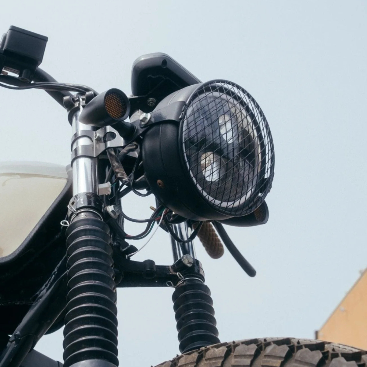 Headlight Grill