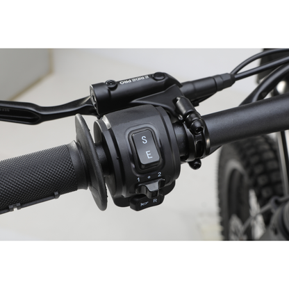 E Ride Pro S