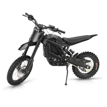 E Ride Pro Mini R