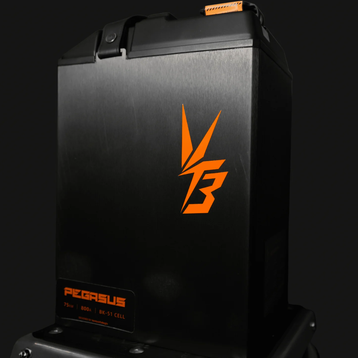 Ventus Ultra Bee Pegasus Battery 96V 56AH