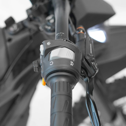 THRONE SRPNT X3 E-Bike