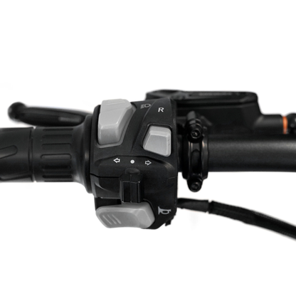 THRONE SRPNT X3 E-Bike