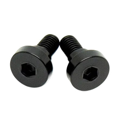 Titanium Battery Lid Bolts - E-Ride Pro -  (Two Pcs)