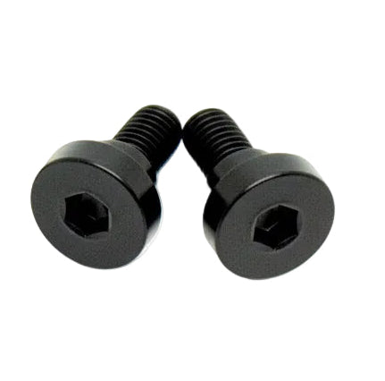 Titanium Battery Lid Bolts - E-Ride Pro -  (Two Pcs)